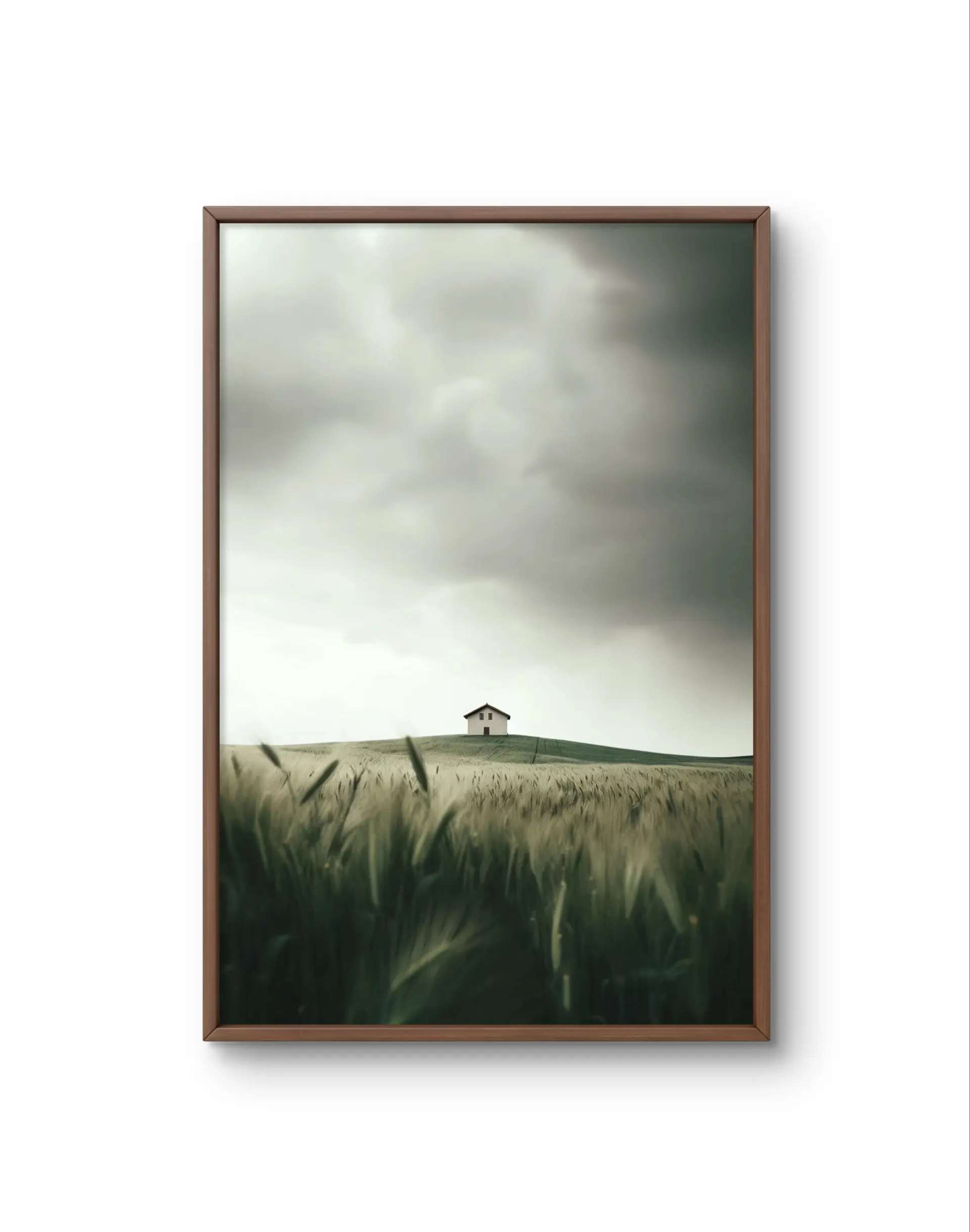 Bellucci - Solitude on the Hill — Fotografia grafika artystyczna Bellucci
