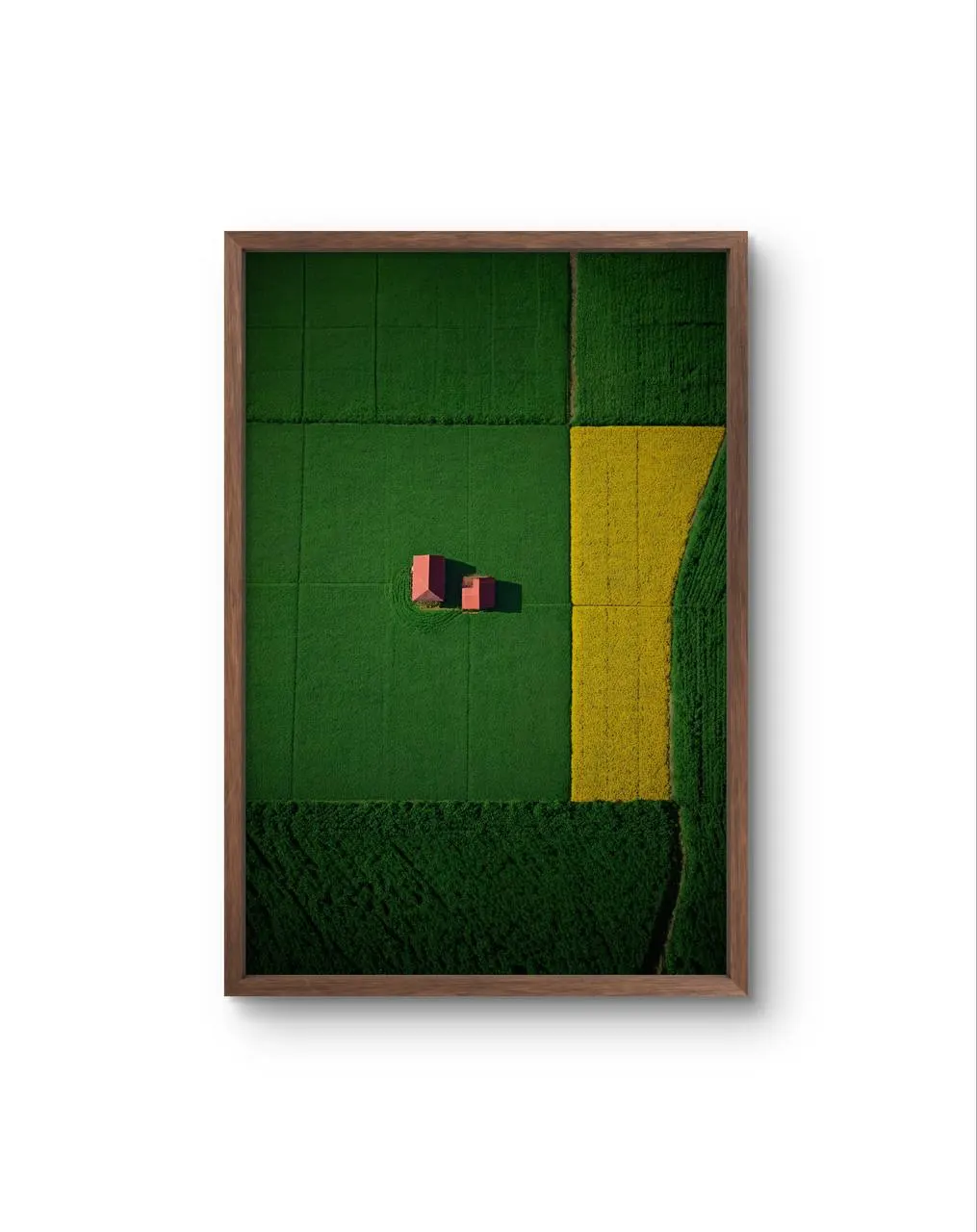 Bellucci - The Red Houses in a Sea of Green — Fotografia grafika artystyczna Bellucci