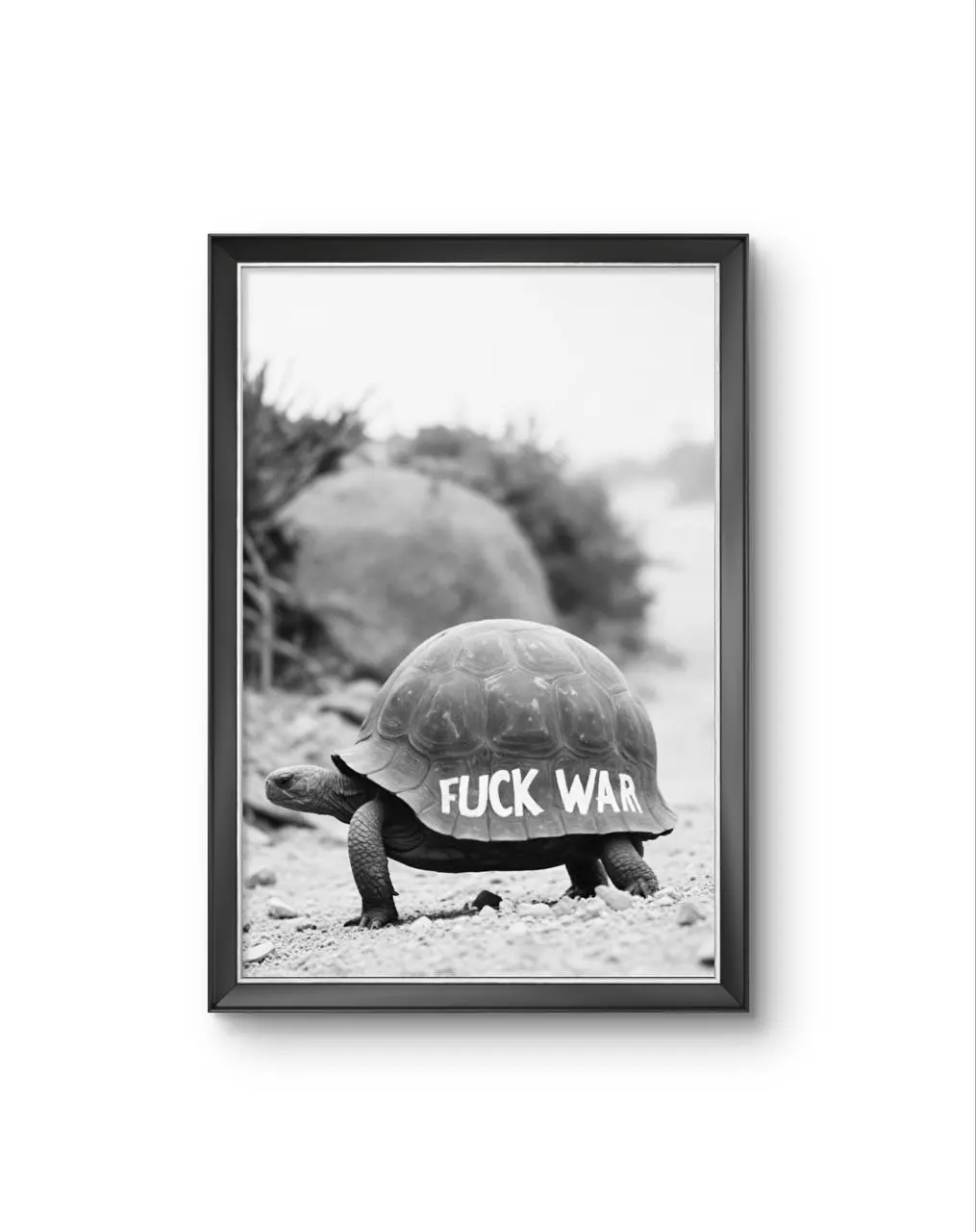 Bonaque - A Statement on the Shell — Fotografia grafika artystyczna Bonaque