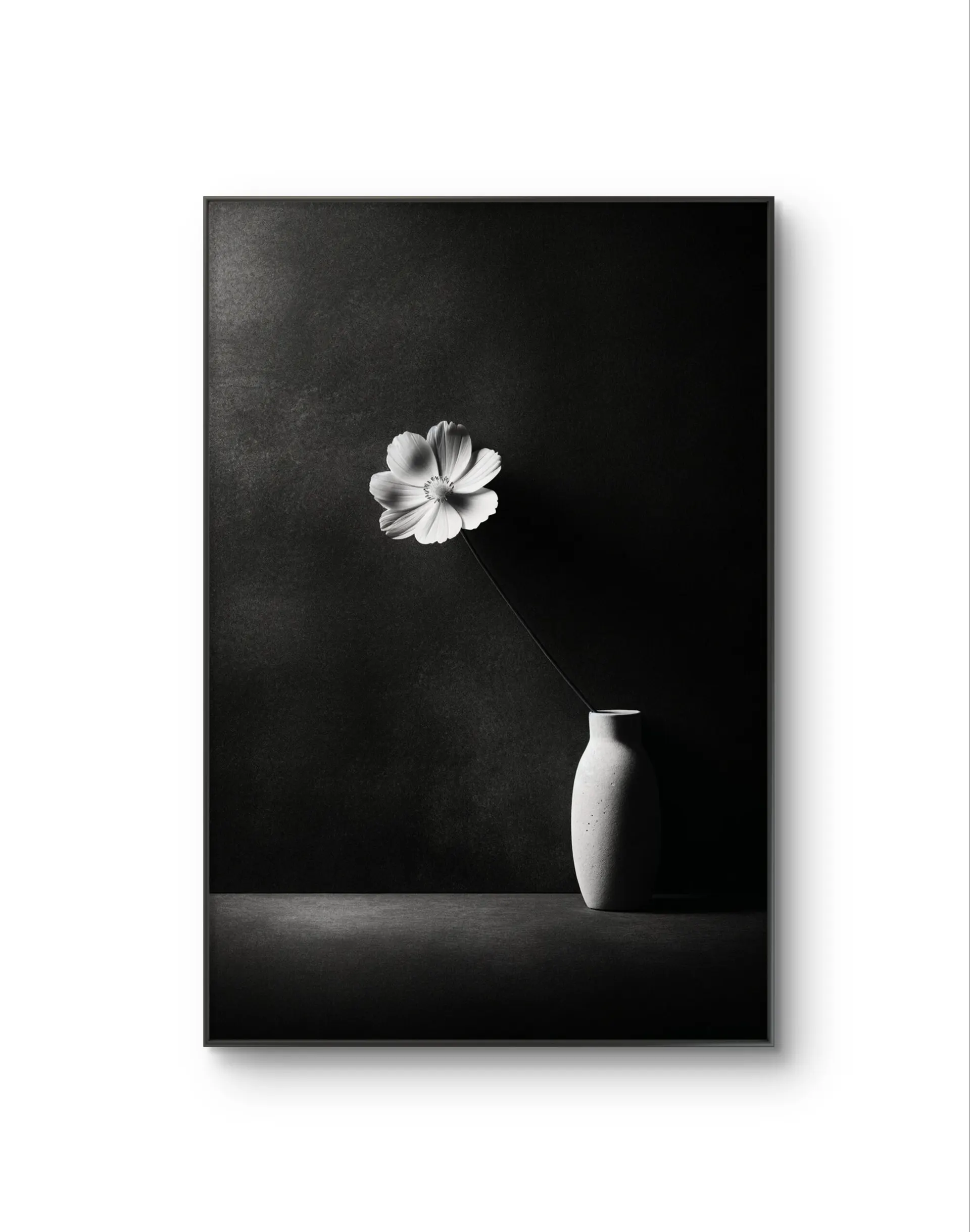 Bonaque - Elegance in Simplicity — Fotografia grafika artystyczna Bonaque