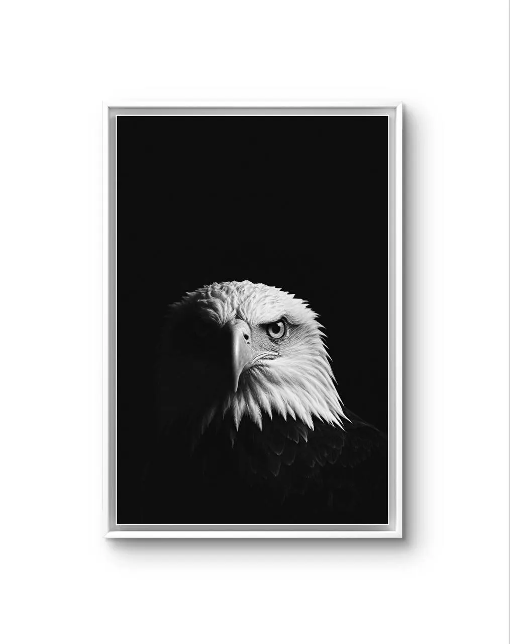 Bonaque - Majestic Sentinel — Fotografia grafika artystyczna Bonaque