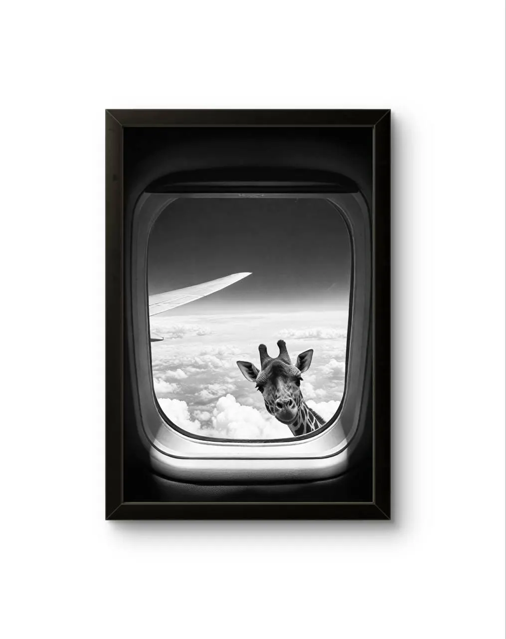 Bonaque - Skybound Curiosity — Fotografia grafika artystyczna Bonaque