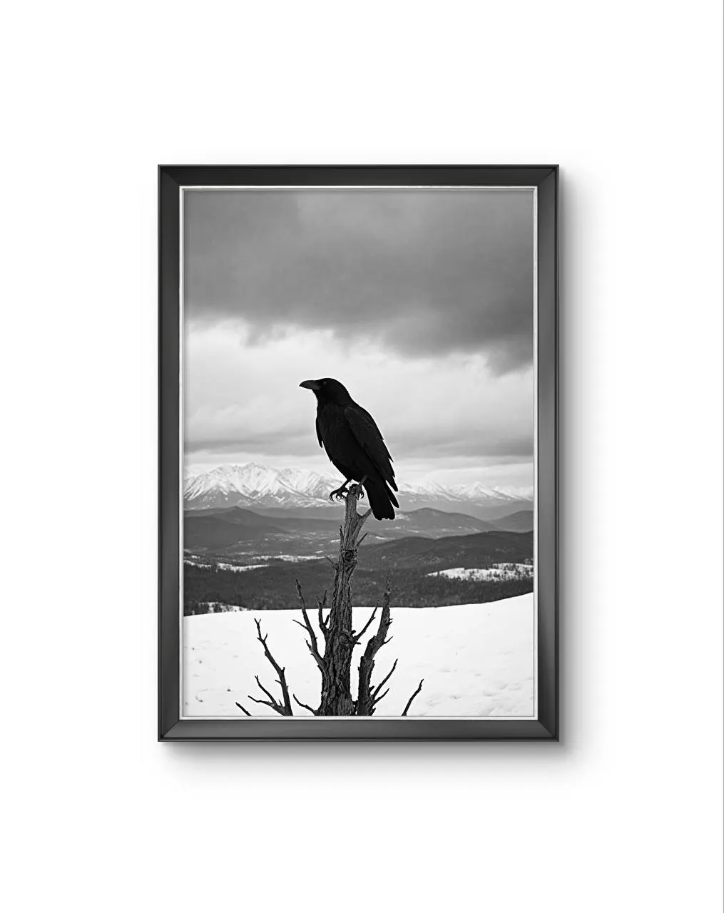 Bonaque - The Watchful Raven — Fotografia grafika artystyczna Bonaque