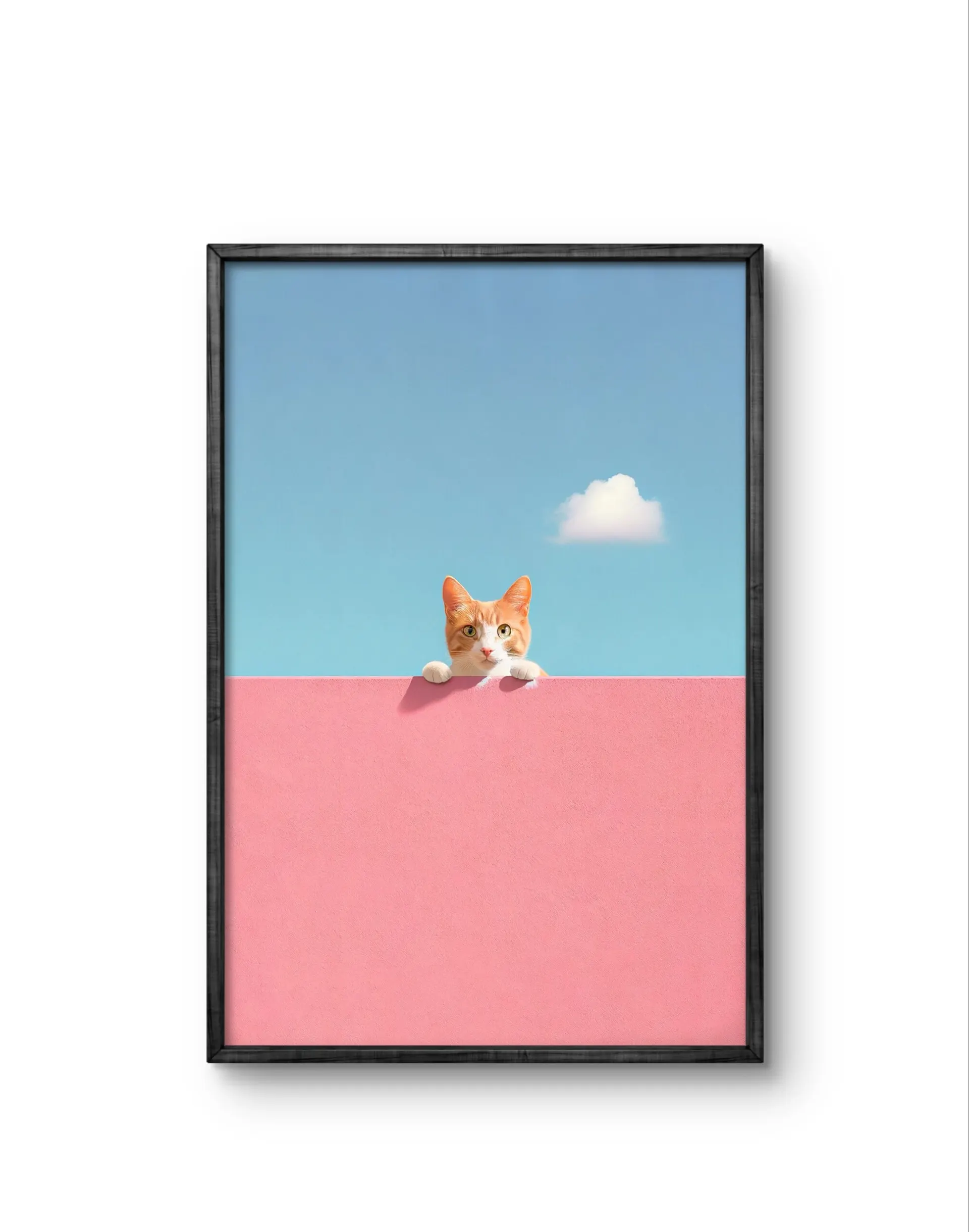 Lumivista - Curious Whiskers — Fotografia grafika artystyczna Lumivista