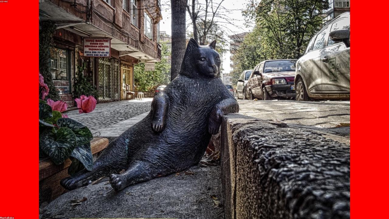 Kuratorowana ściana galerii z grafikami